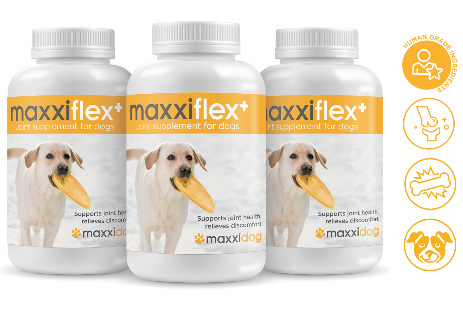 best joint supplement for puppies