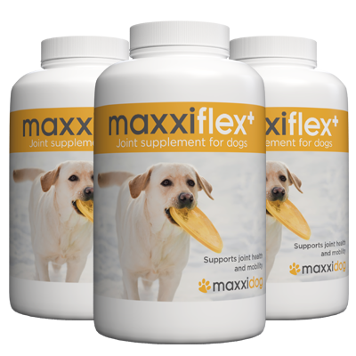 maxxiflex for dogs